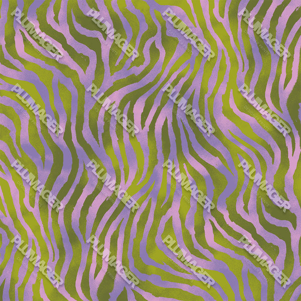 Zebra Zing - PLOL0014
