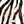 Zebra Zing - PLOL0014