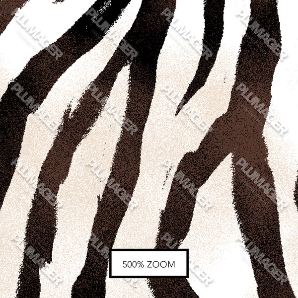 Zebra Zing - PLOL0014