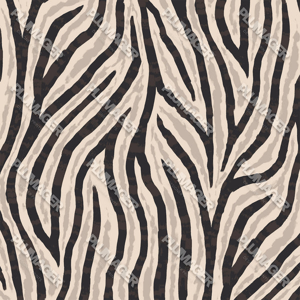 Zimbabwe Zebra - PLOL0015