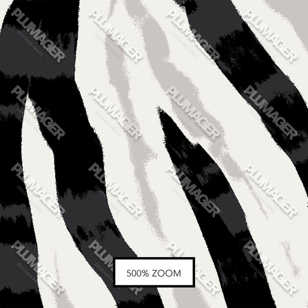 Zimbabwe Zebra - PLOL0015