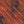 Safari Stripe - PLOL0016