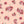 Harper Floral - PLOL0017