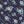 Harper Floral - PLOL0017