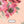 Harper Floral - PLOL0017