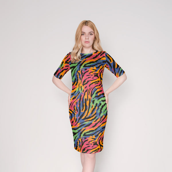 Abstract Zebra - PLOL0018