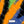 Abstract Zebra - PLOL0018