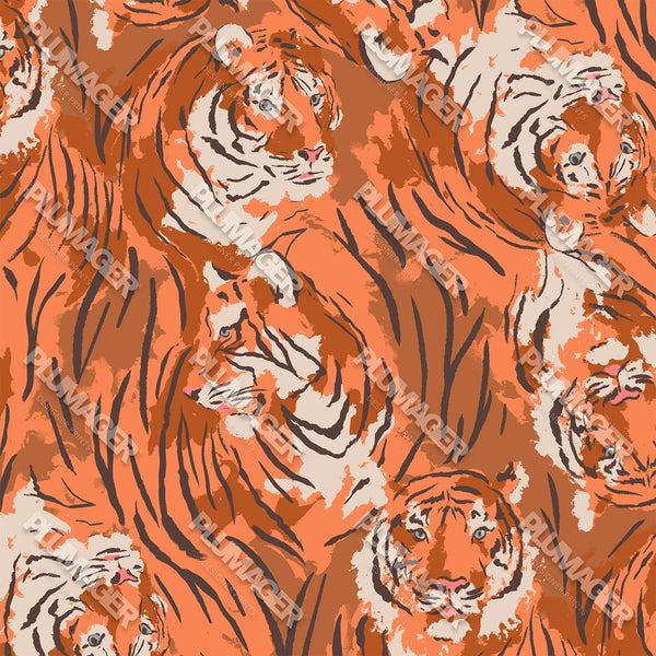 Tactical Tiger - PLOL0019