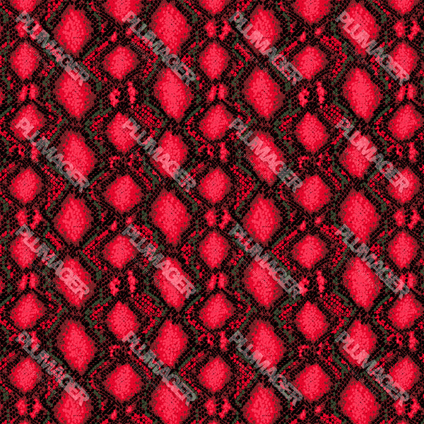 Sophie Snake - PLOL0020