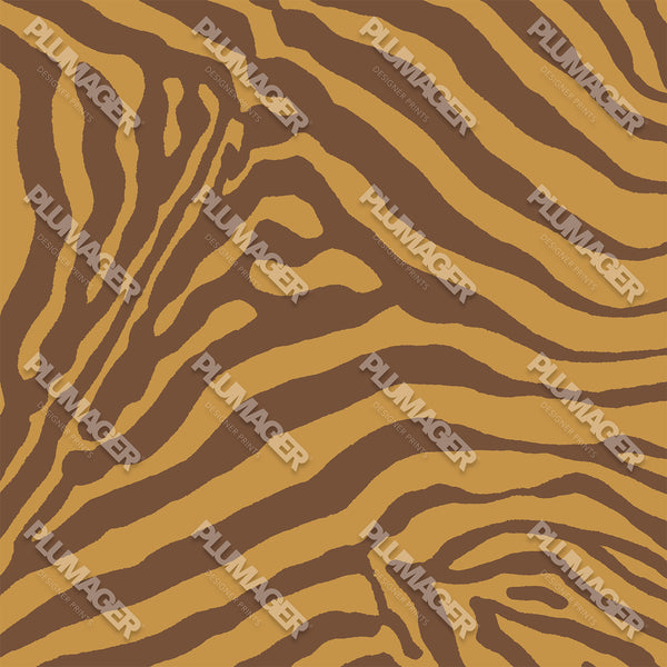 Gala Zebra - PLOL0021