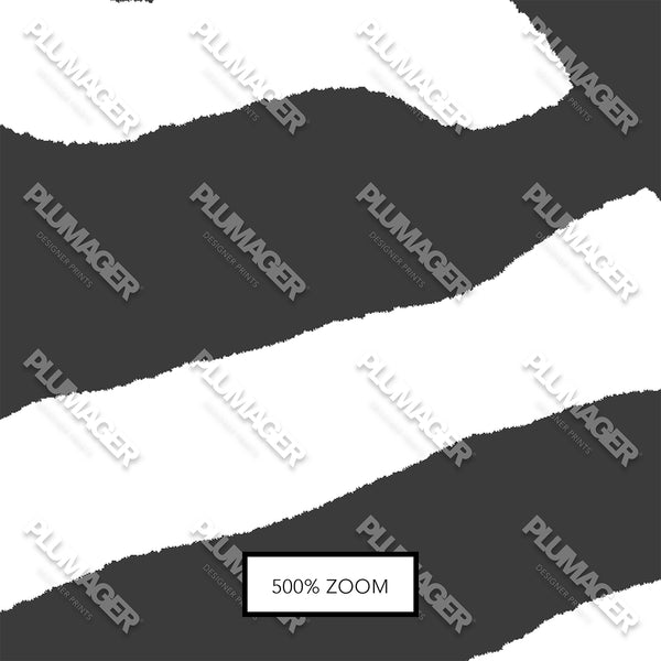 Gala Zebra - PLOL0021