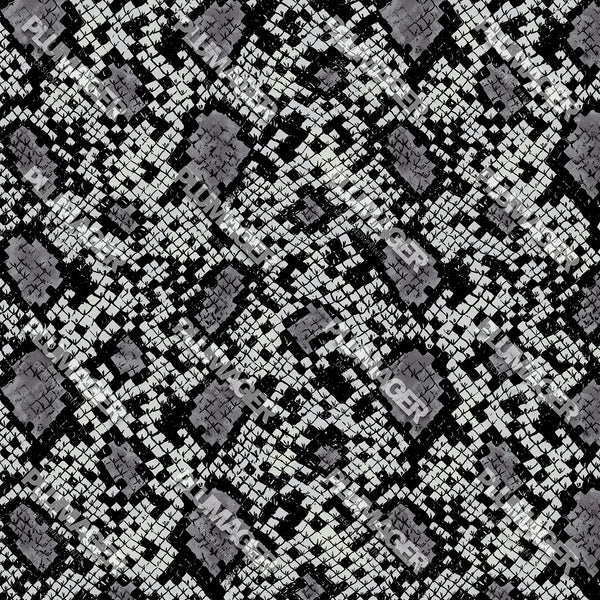 Sutton Snake - PLOL0022