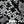 Sutton Snake - PLOL0022