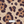 Jaguar Jam - PLOL0024