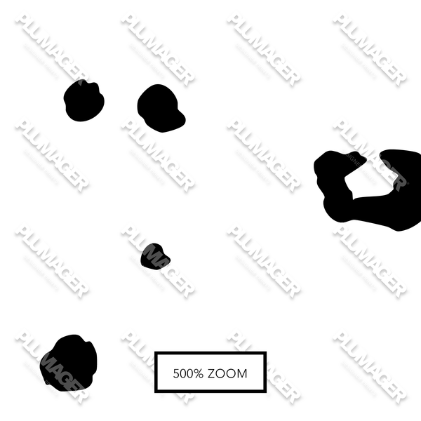 London Leopard - PLOL0028