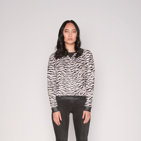 Zebra Jol - PLOL0029