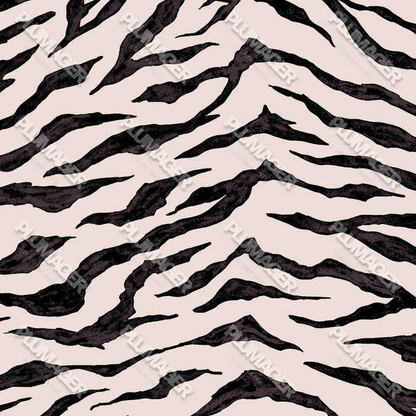 Zebra Jol - PLOL0029