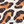 Lorena Leopard - PLOL0032