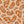 PLOL0057