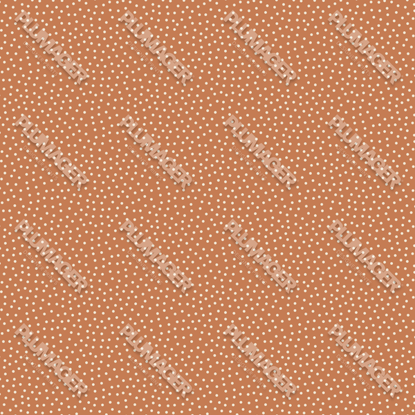 PLNN4205
