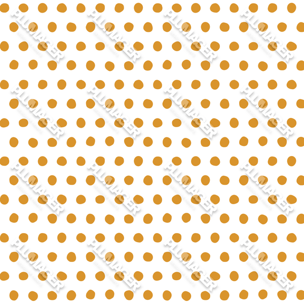PLNN4210