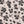 PLOL0042