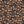 PLOL0044