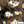 PLOL0044