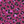 PLOL0051