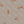 PLOL0052