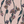 PLOL0073