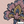 PLOL0073