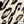 PLOL0077