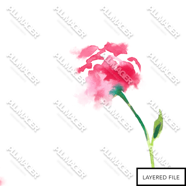 PLOL0115