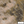 PLOL0175