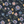 PLOL0181