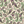 PLOL0058
