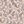 PLOL0058