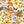 Autumn Medley - PLFZ7498