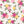 PLDM2016-JuneRose- Colorway 1