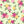 PLDM2016-JuneRose- Colorway 3