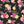 PLDM2016-JuneRose- Colorway 4