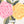 PLDM2016-JuneRose- Zoomview