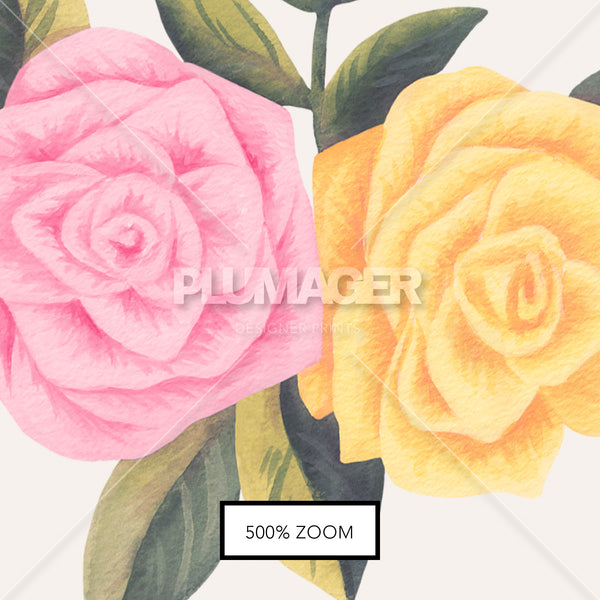 PLDM2016-JuneRose- Zoomview