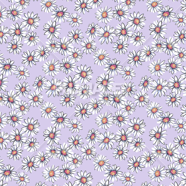 PLDM2017-MayDaisy - Colorway 1