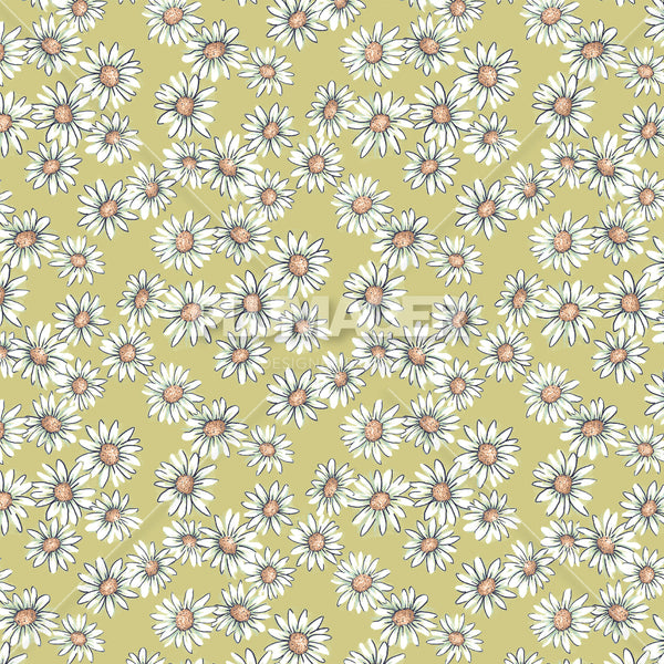 PLDM2017-MayDaisy - Colorway 3