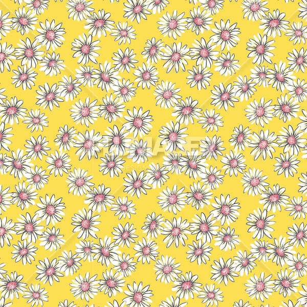 PLDM2017-MayDaisy - Colorway 4
