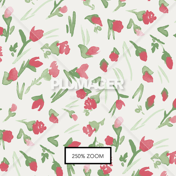 PLDM2021-Rosebud - Zoomview 1