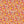 PLDM2022-ShaydGlade  - Colorway 4