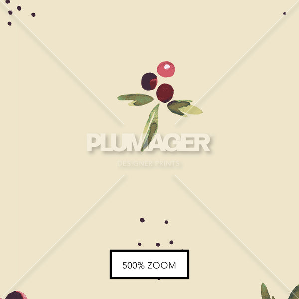 PLDM2024-CranberryDream- Zoomview